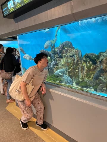 紹介5